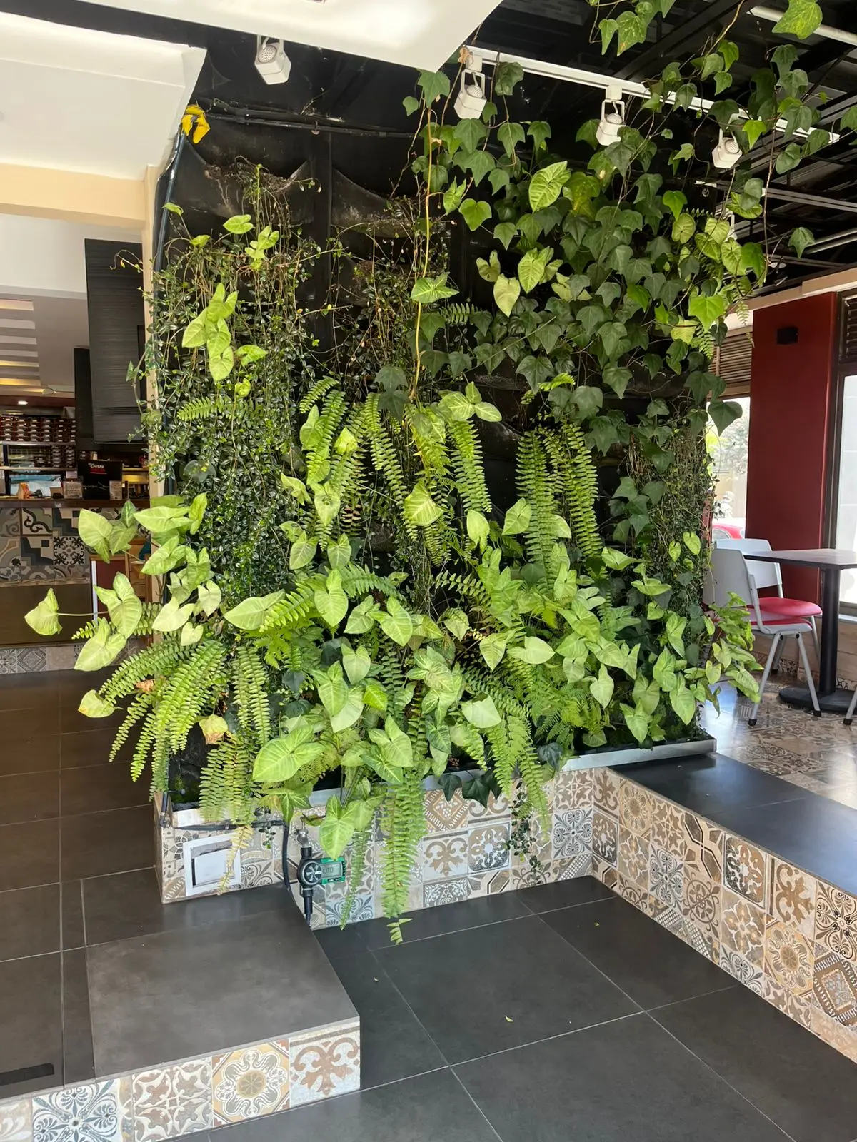Jardinería profesional · Plantemos Bogotá #1