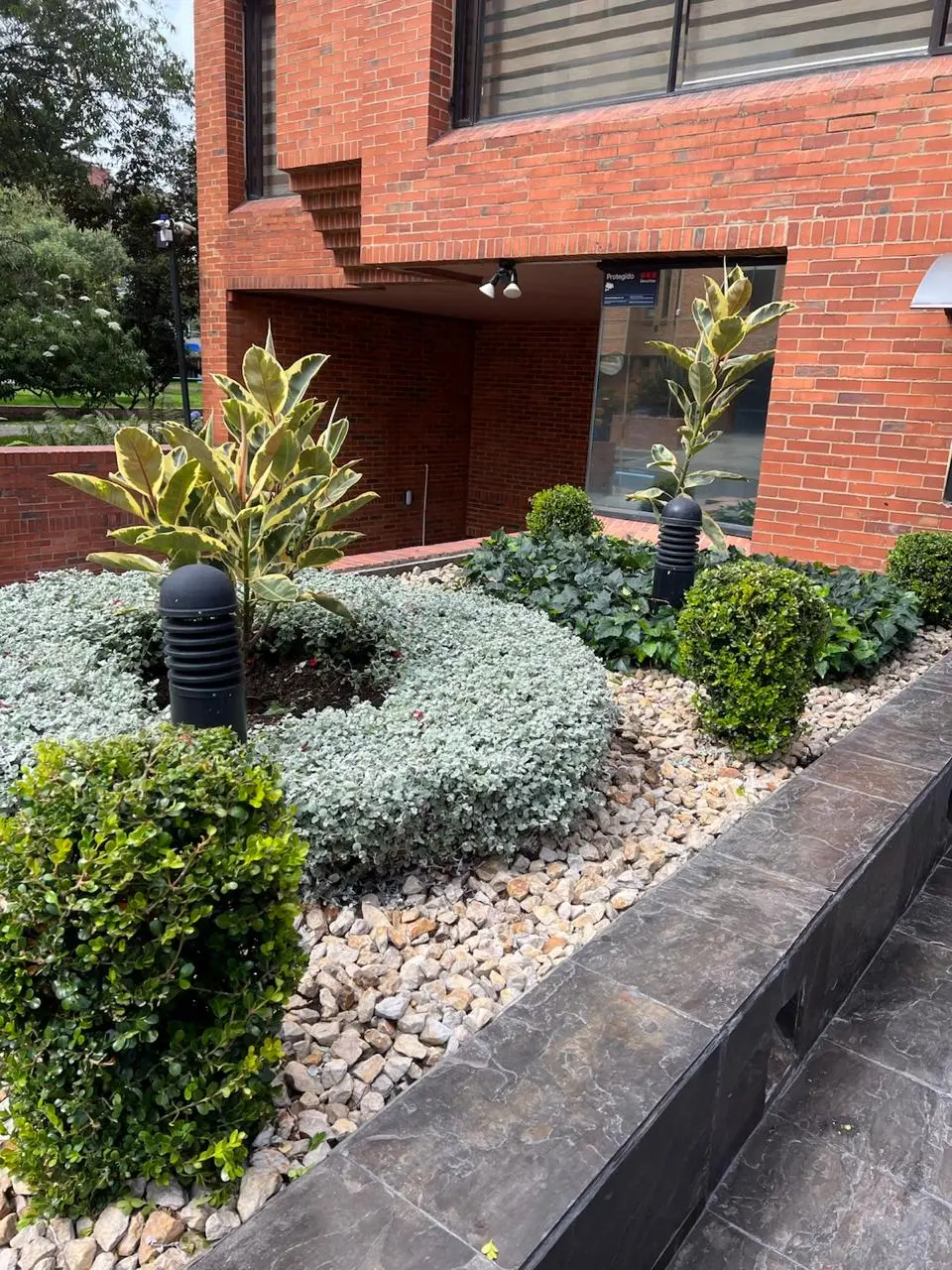 Jardinería profesional · Plantemos Bogotá #3