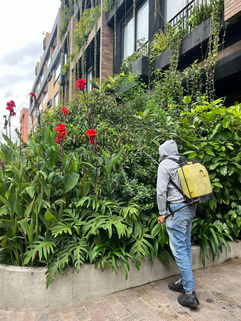 Mantenimiento profesional de jardines · Plantemos Bogotá #7