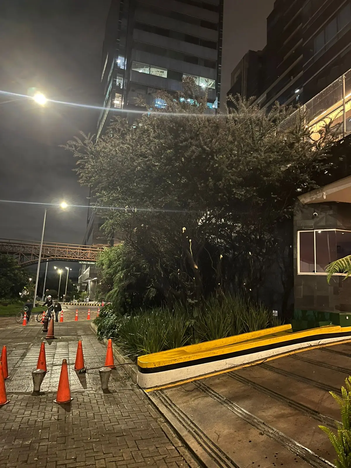 Mantenimiento profesional de jardines · Plantemos Bogotá #20