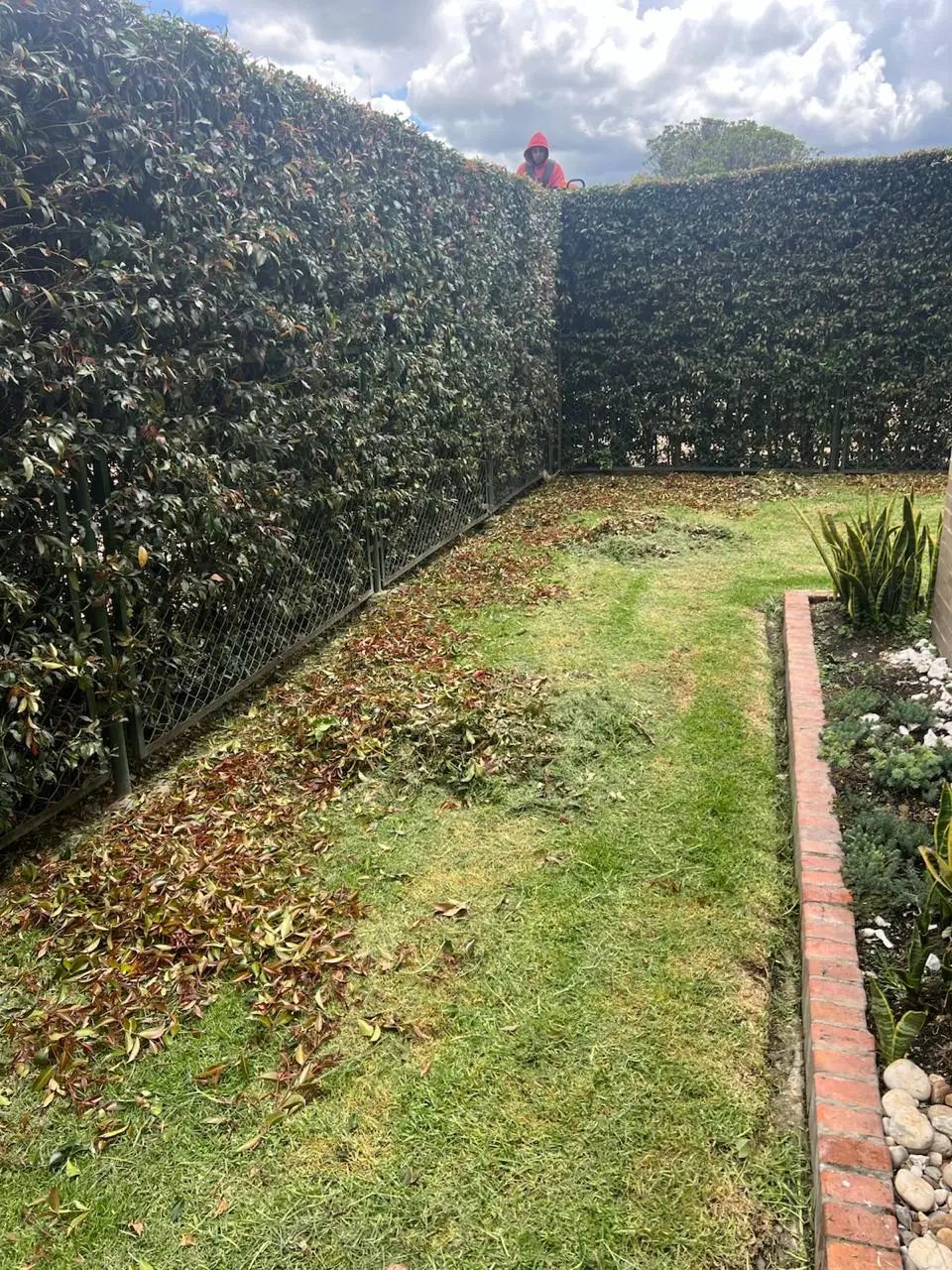 Mantenimiento profesional de jardines · Plantemos Bogotá #25