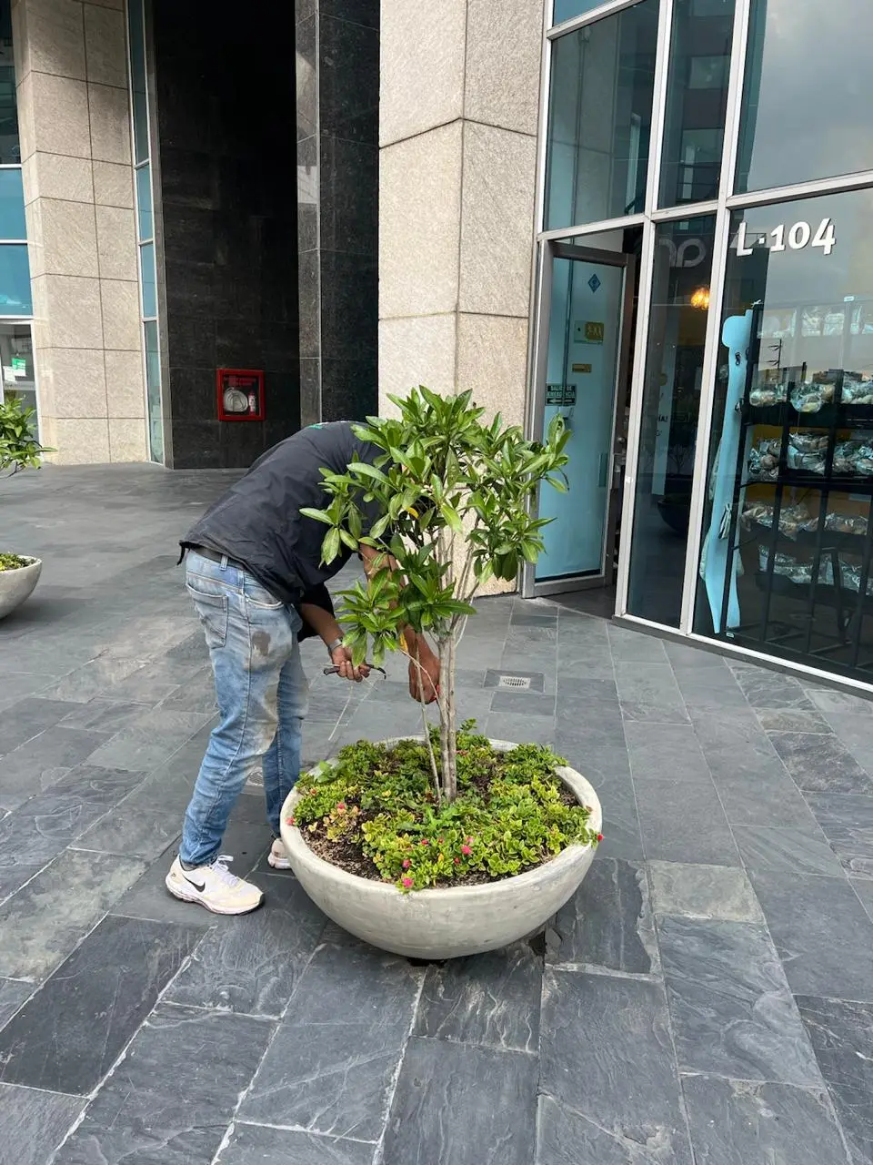 Mantenimiento profesional de jardines · Plantemos Bogotá #28