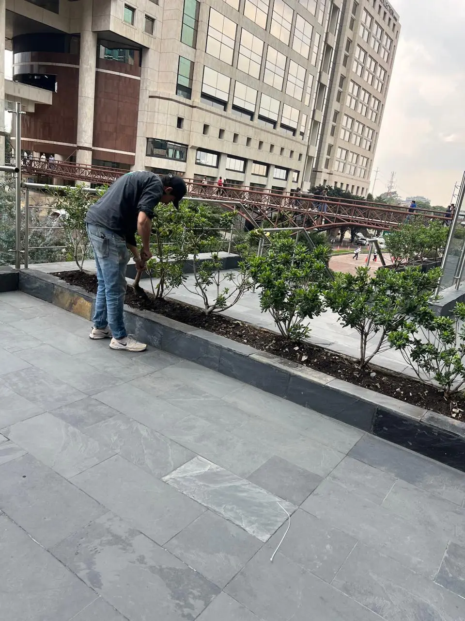 Mantenimiento profesional de jardines · Plantemos Bogotá #29