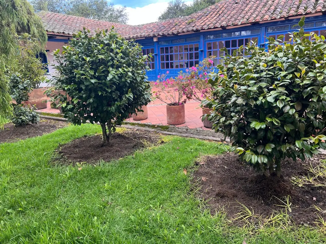 Proyecto de paisajismo y diseño de jardines · Plantemos Bogotá #1