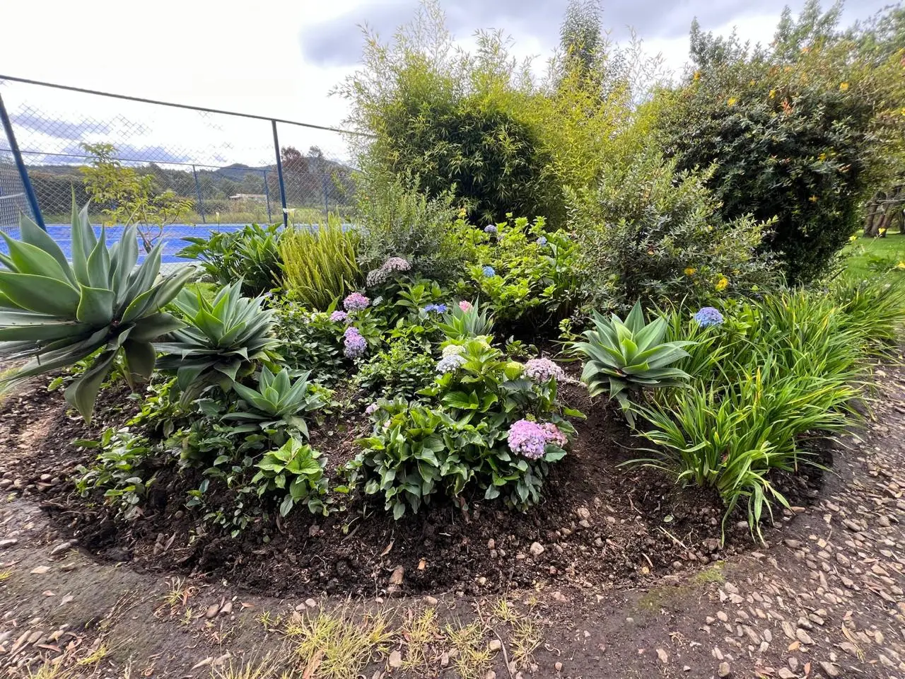 Proyecto de paisajismo y diseño de jardines · Plantemos Bogotá #3