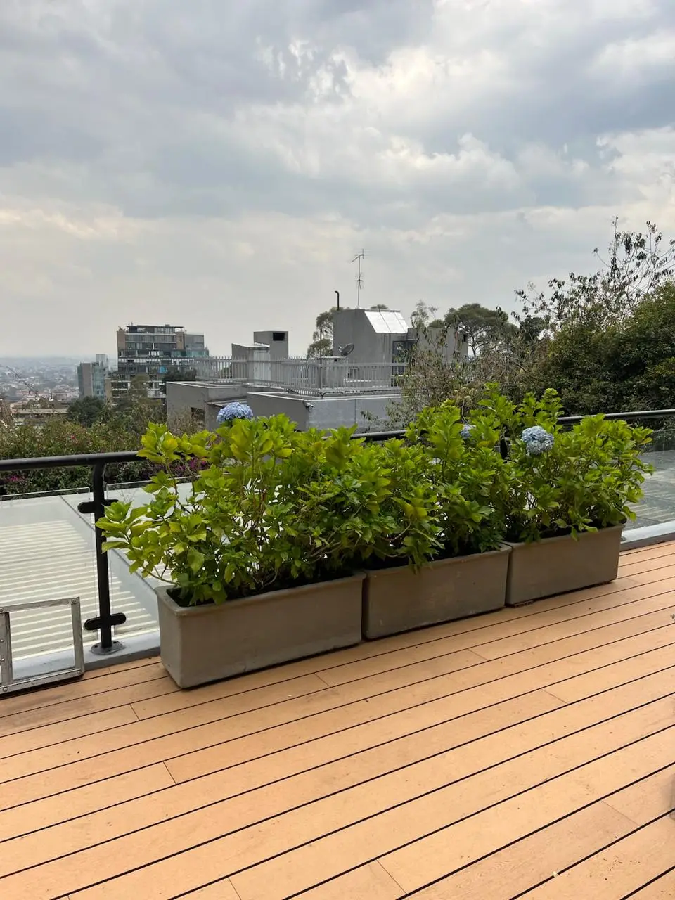 Proyecto de paisajismo y diseño de jardines · Plantemos Bogotá #14