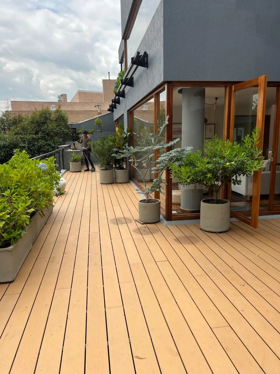 Proyecto de paisajismo y diseño de jardines · Plantemos Bogotá #15