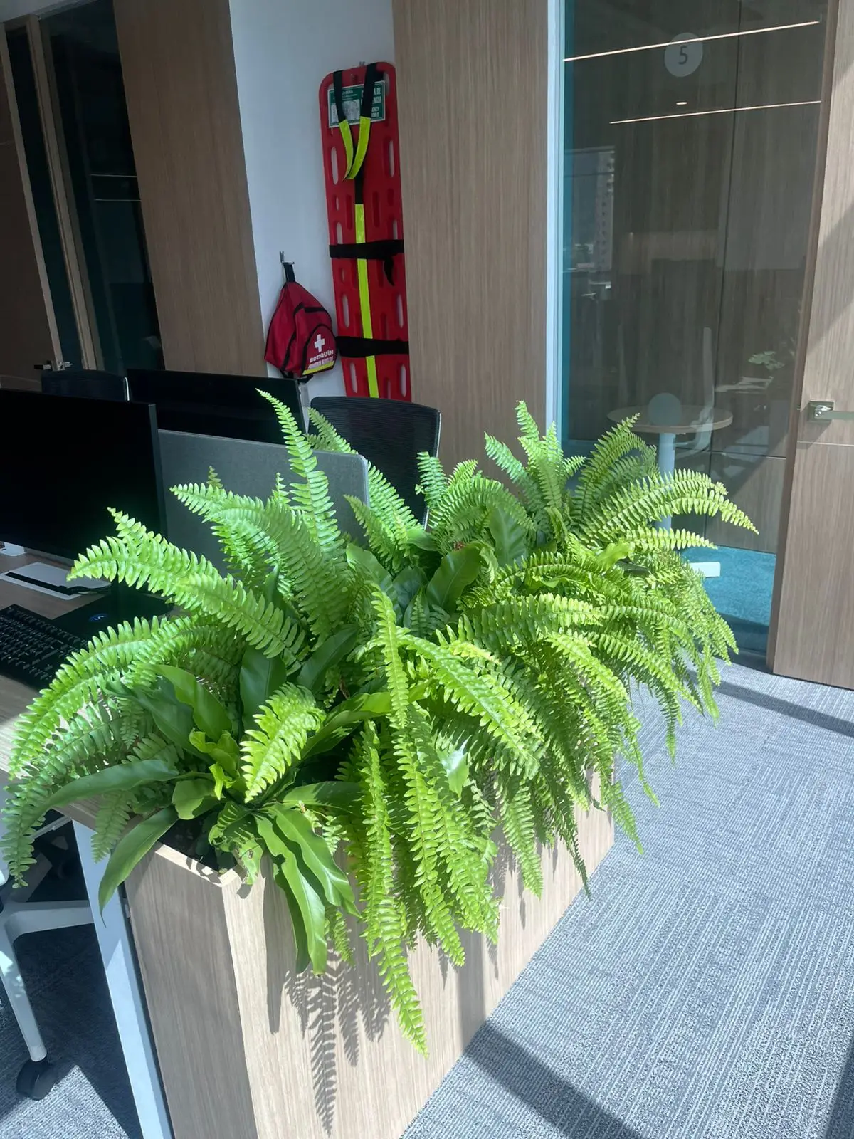 Proyecto de paisajismo y diseño de jardines · Plantemos Bogotá #41