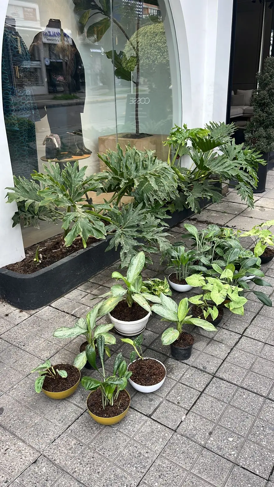 Proyecto de paisajismo y diseño de jardines · Plantemos Bogotá #50