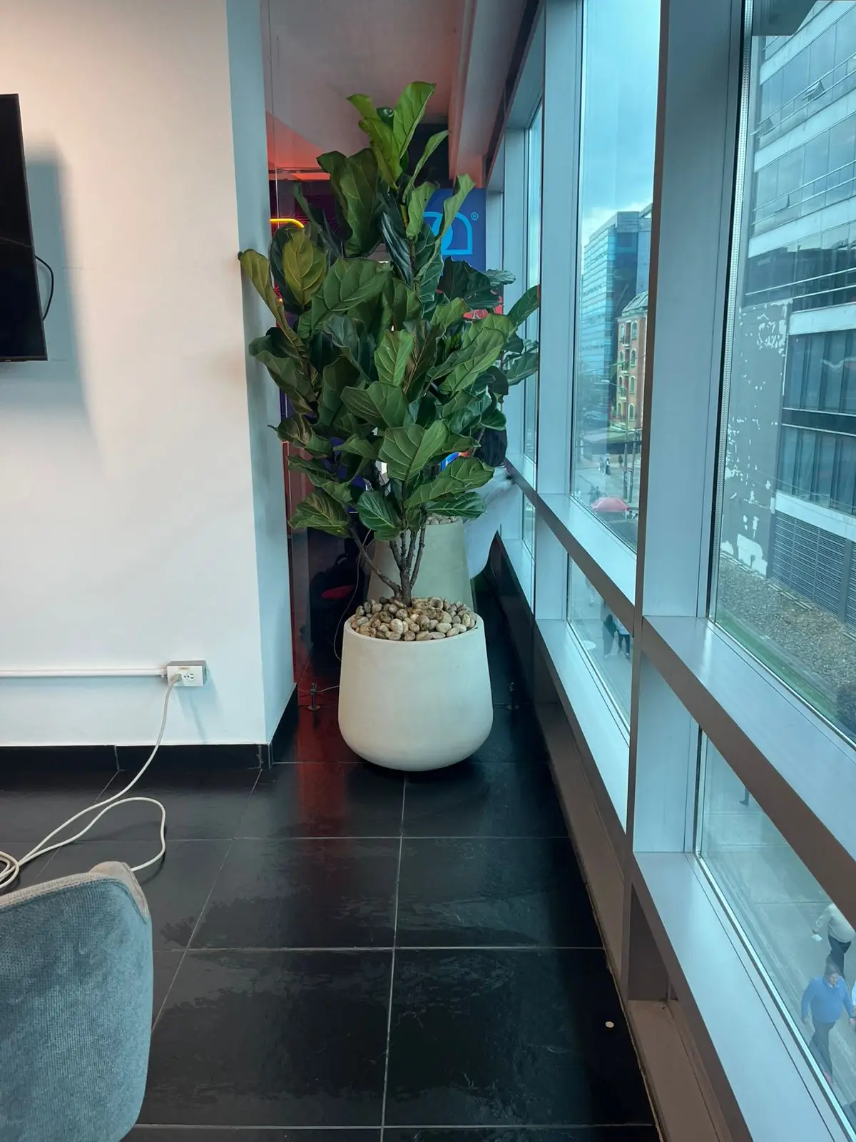 Proyecto de paisajismo y diseño de jardines · Plantemos Bogotá #60