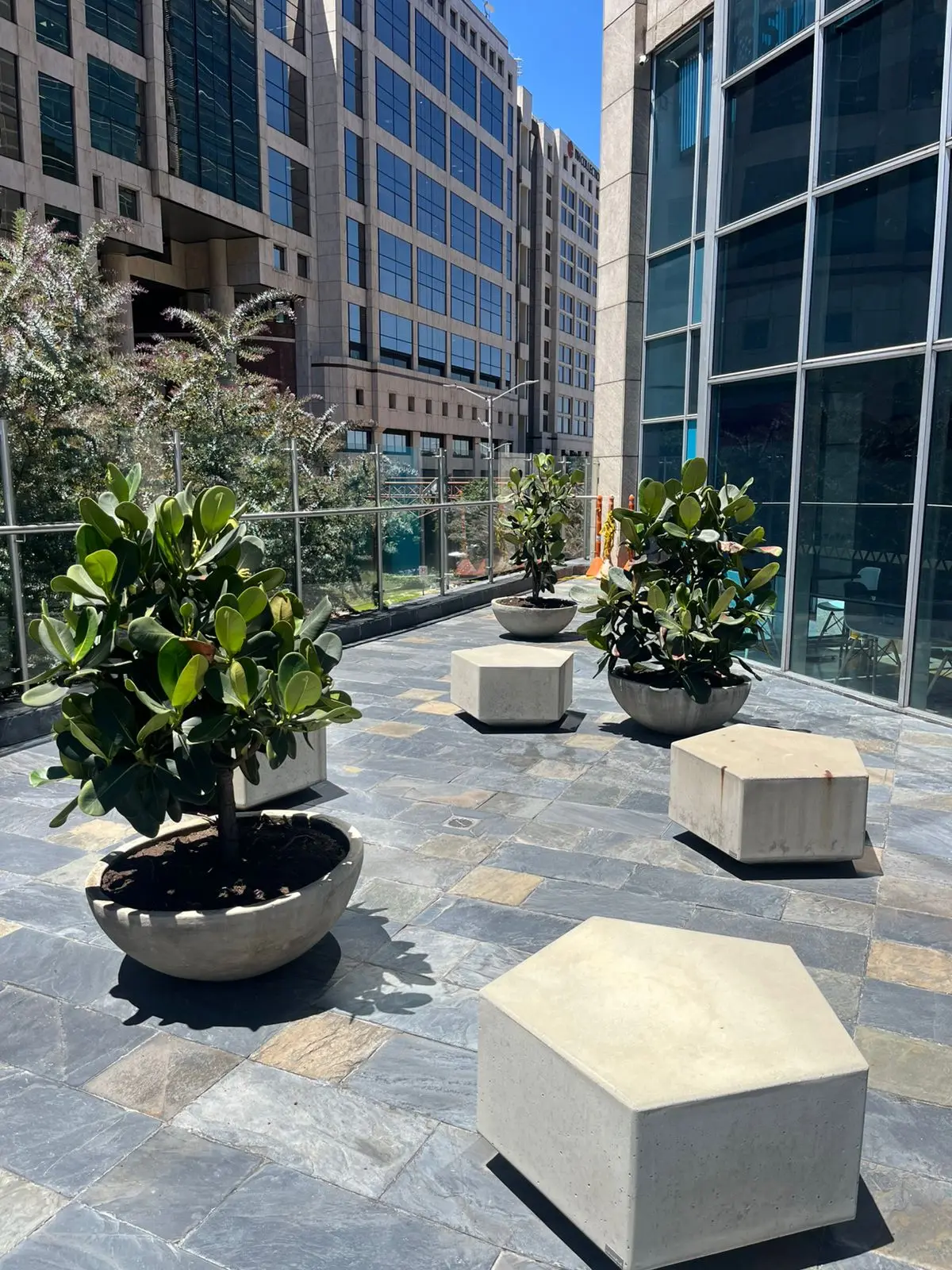 Proyecto de paisajismo y diseño de jardines · Plantemos Bogotá #65