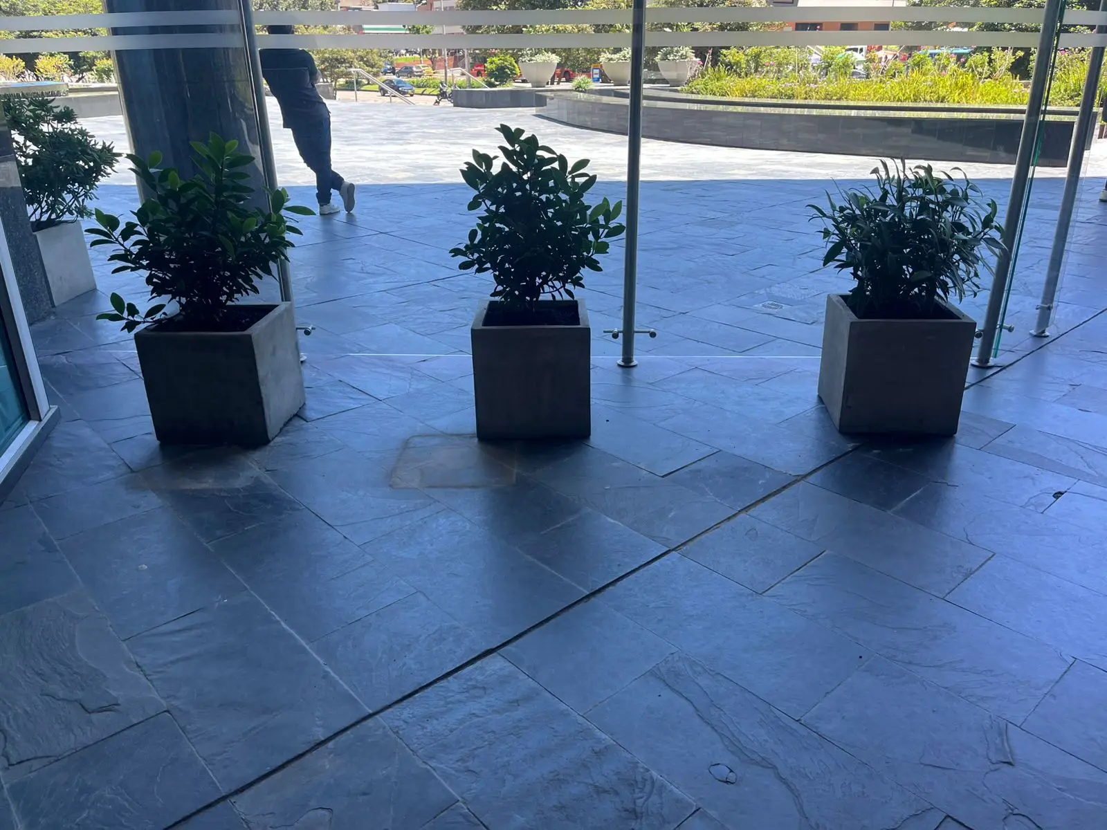 Proyecto de paisajismo y diseño de jardines · Plantemos Bogotá #66