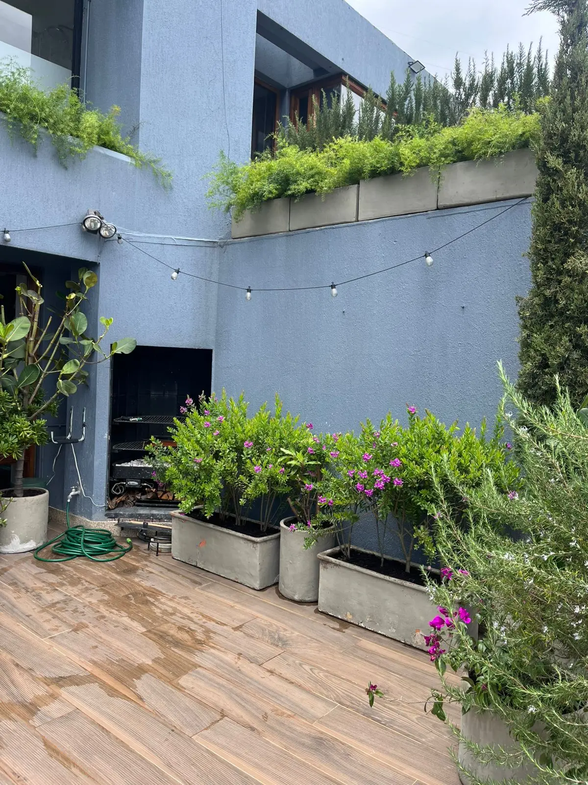Proyecto de paisajismo y diseño de jardines · Plantemos Bogotá #77