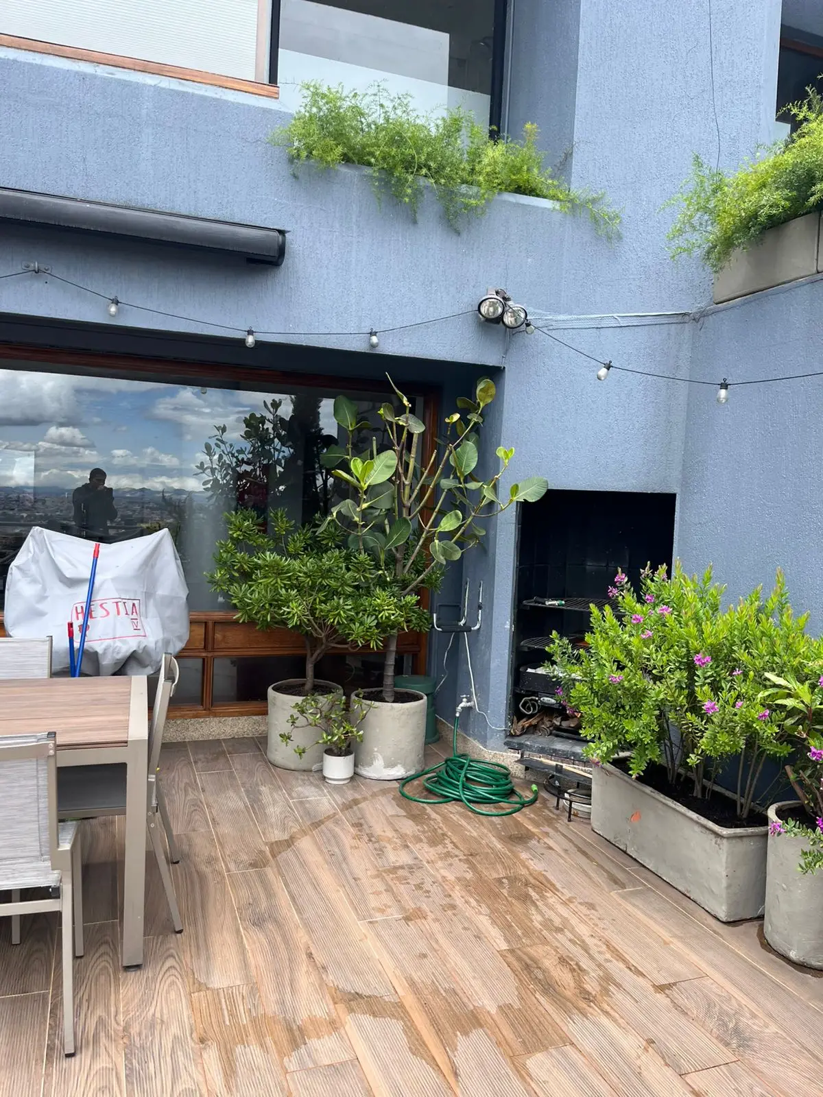 Proyecto de paisajismo y diseño de jardines · Plantemos Bogotá #80