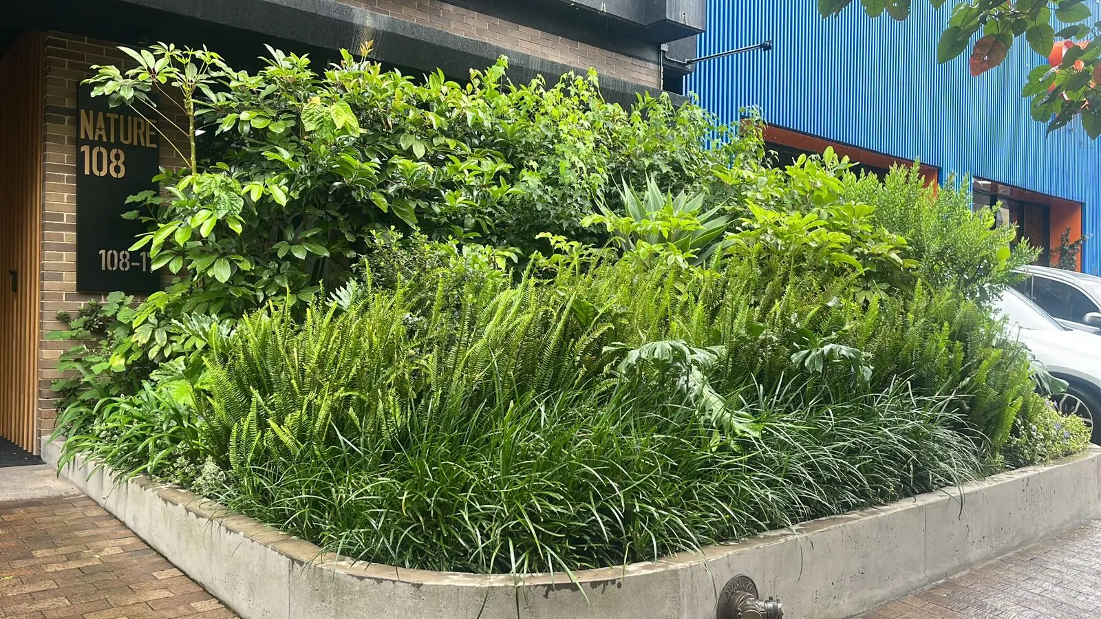 Proyecto de paisajismo y diseño de jardines · Plantemos Bogotá #86