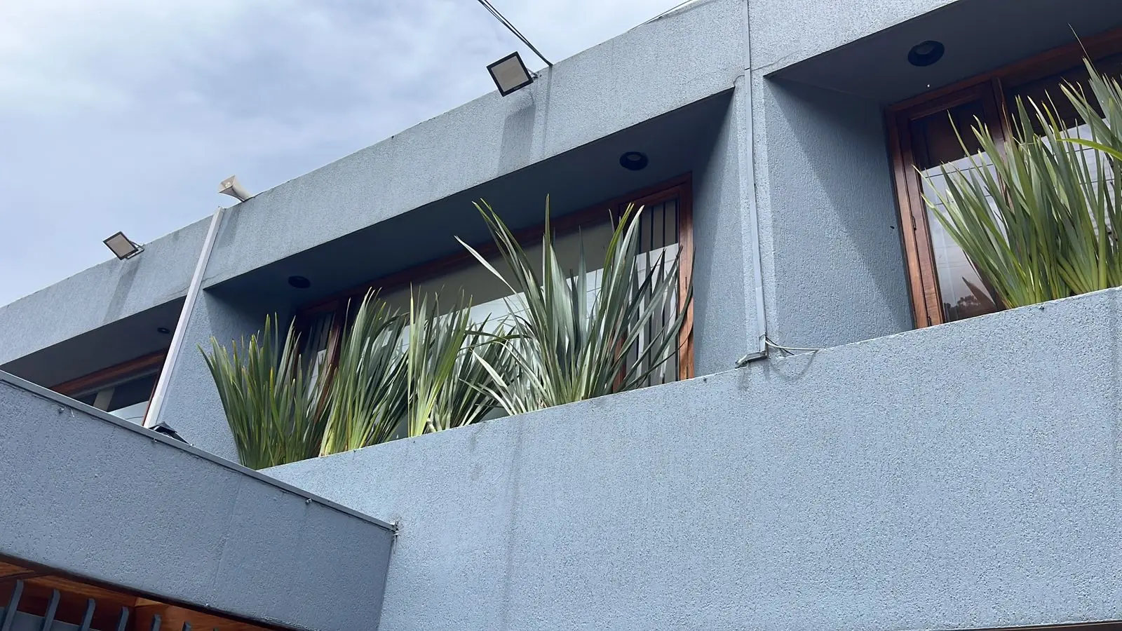 Proyecto de paisajismo y diseño de jardines · Plantemos Bogotá #96