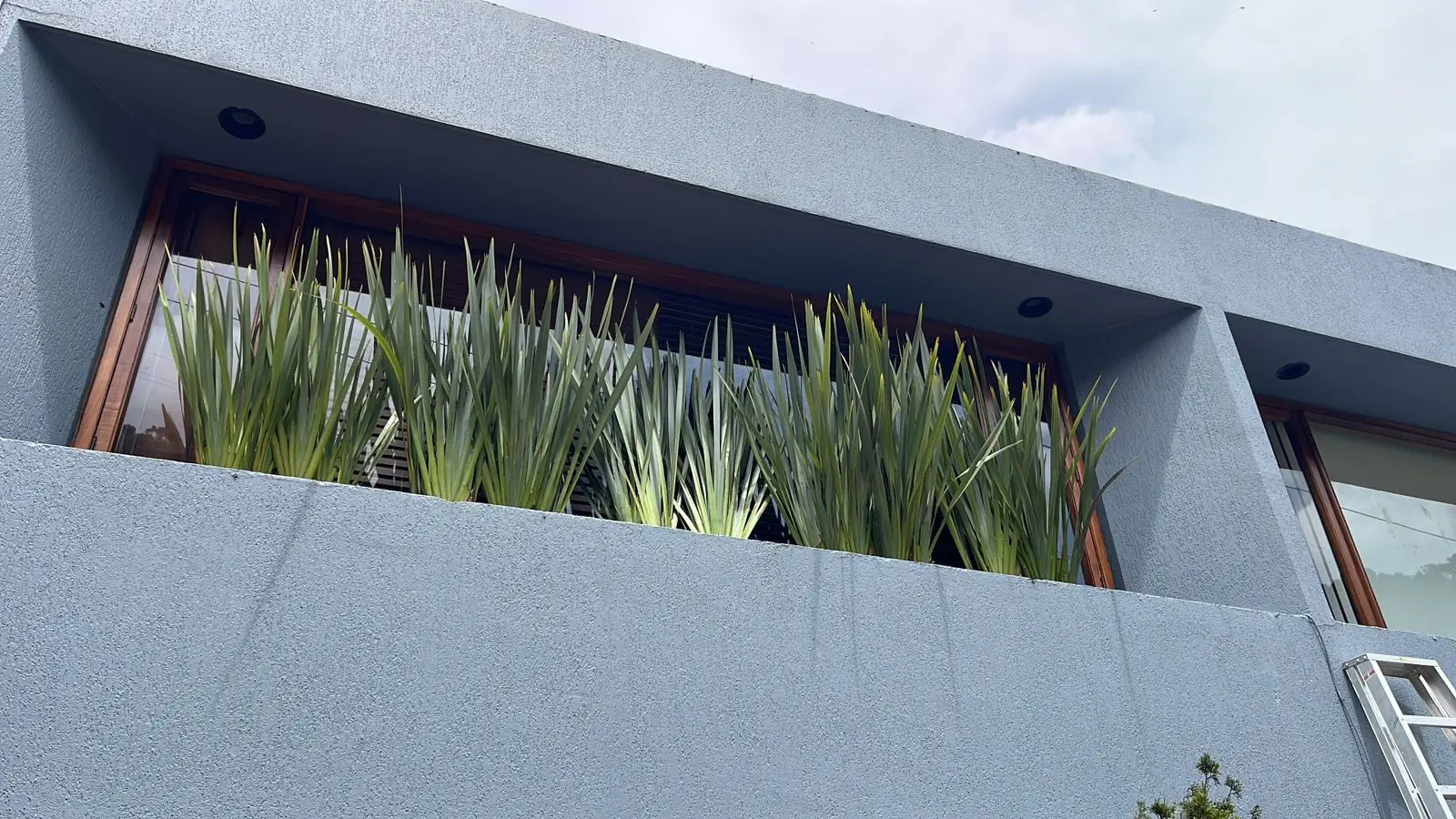 Proyecto de paisajismo y diseño de jardines · Plantemos Bogotá #97