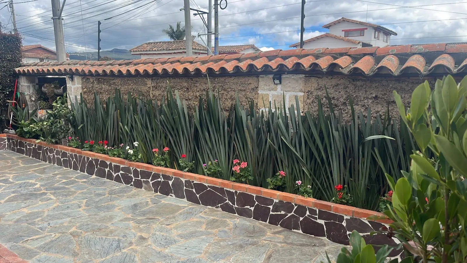 Composición de plantas y decoración con plantas · Plantemos #22